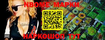a pvp Новозыбков