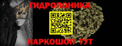 a pvp Новозыбков