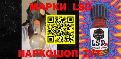 a pvp Новозыбков