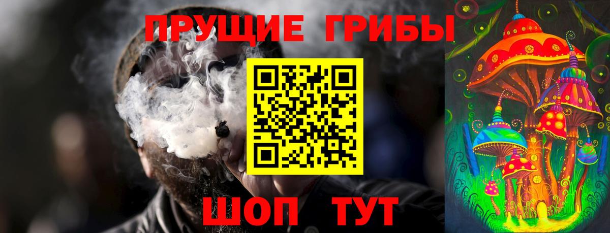 Псилоцибиновые грибы Cubensis  Псилоцибиновые грибы мицелий  Таганрог  Вход с VPN 